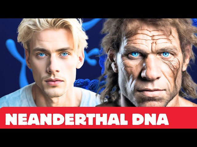 Neanderthal DNA in Modern Humans and its Surprising Impact