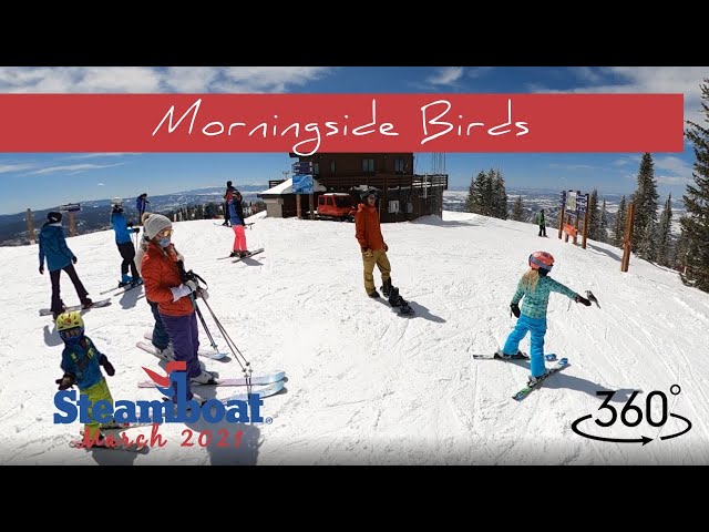 Morningside Birds | Steamboat 2021 | 360 Video