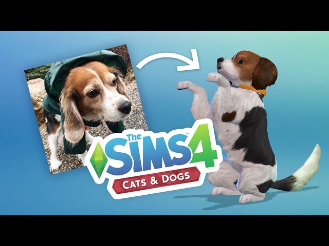 Making Molly! | The Sims Cats & Dogs (Ep.5)