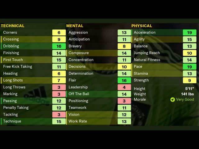 Which Football Manager Attributes Actually Matter?