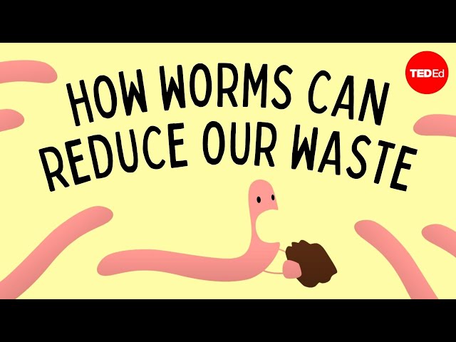 Vermicomposting: How worms can reduce our waste - Matthew Ross