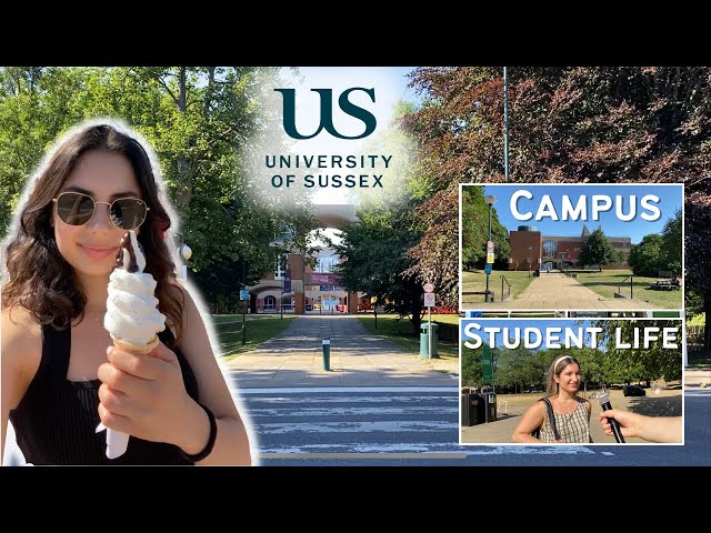 ALL ABOUT UNIVERSITY OF SUSSEX