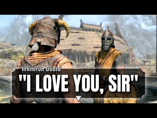 Skyrim with Terribly Translated Dialogue (my goal is stupid)