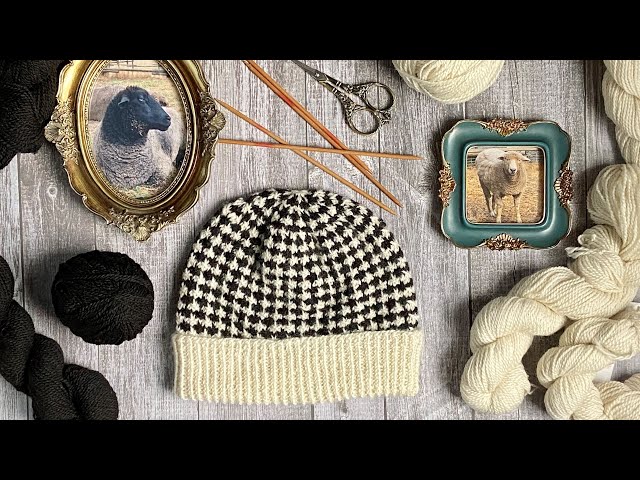 Sheep, Yarn, and Colorwork: Knitting the Natalie and Lilac Beanie & the Story Behind Spoiled Sheep