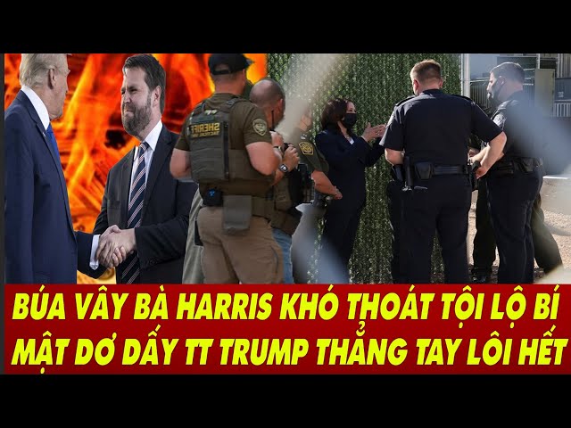 NÓNG: BÀ HARRIS BỊ BÚA VÂY TT TRUMP CHƠI TẤT TAY VẠCH TRẦN MẬT DƠ DẤY Ả ĐIẾM