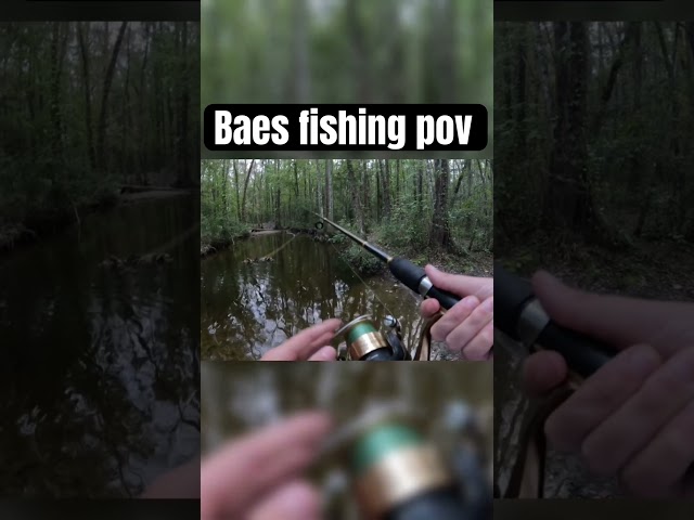 She is the cutest #girlfriends #fishing #youtuber #bassfishing #gopro #pov #fishingvideo