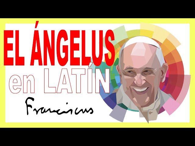 ✴️ Rezo del ÁNGELUS papa francisco en latín 🙏