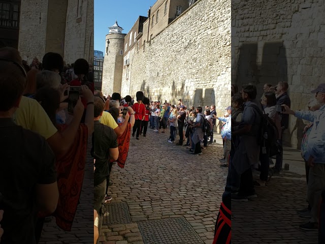 Scottish Guard at the Tower of London "Man Down "!!!!