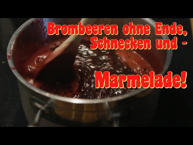 Brombeeren ohne Ende, Schnecken und - Marmelade!