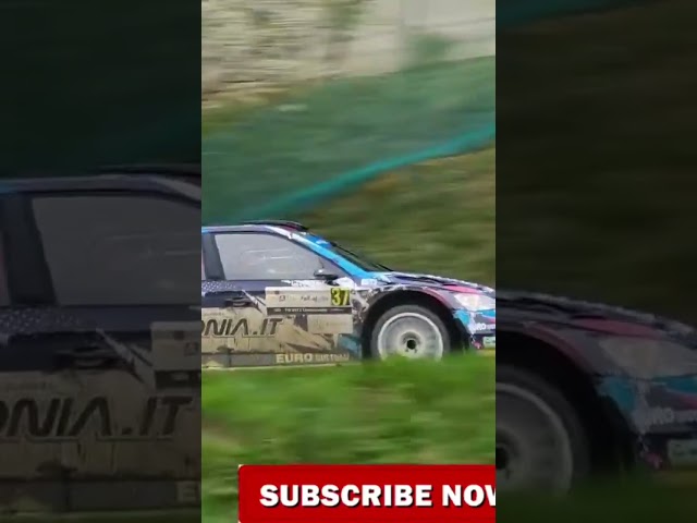 Wrc2024