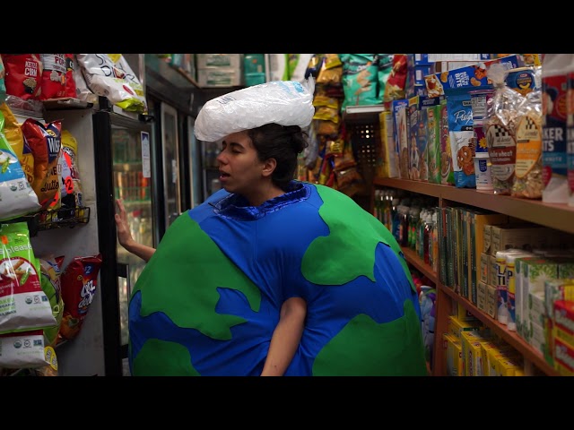 Planet Earth in Manhattan - Nate & Hila