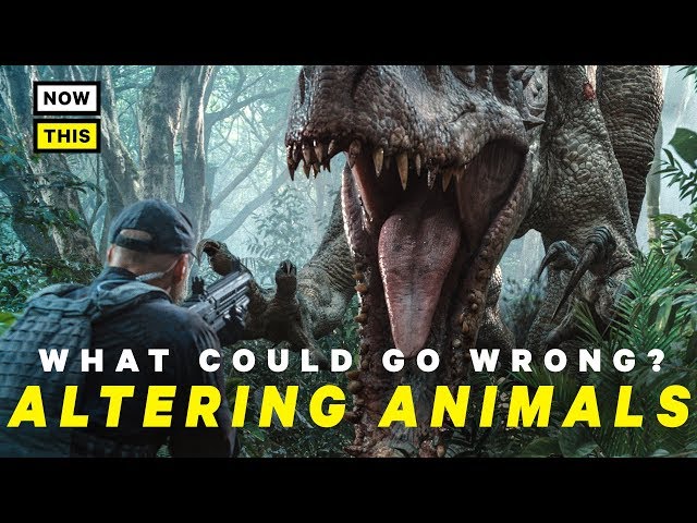 What Could Go Wrong With Altering Animals? | NowThis Nerd