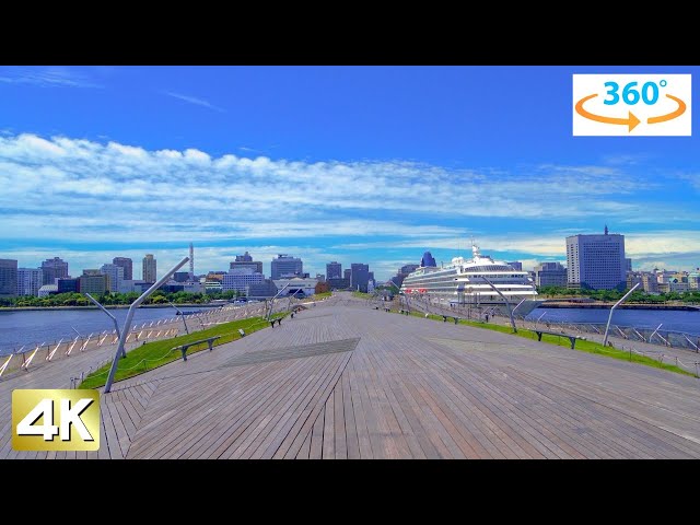 【4K 360°】" Yamashita Park " Japan Yokohama Walking Tour