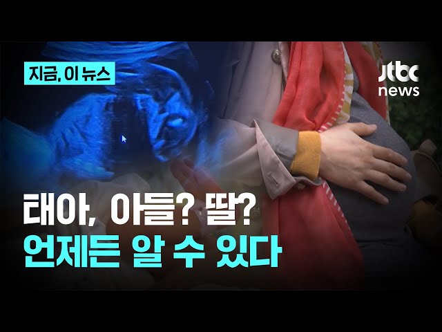 우리 아기, 아들? 딸?…언제든 알 수 있다｜지금 이 뉴스