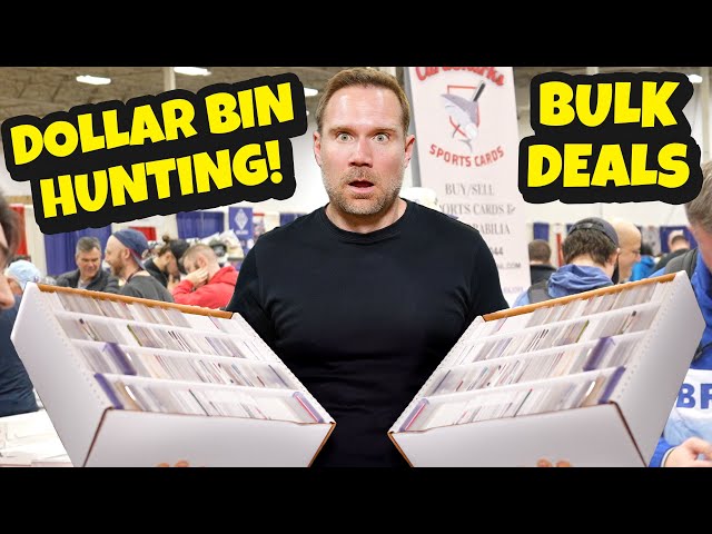 I Went Dollar Bin Hunting to Make PROFIT! 🤝💰