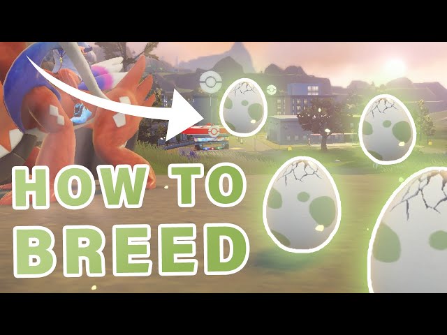 How to BREED Pokemon Eggs ► Pokemon Scarlet & Violet