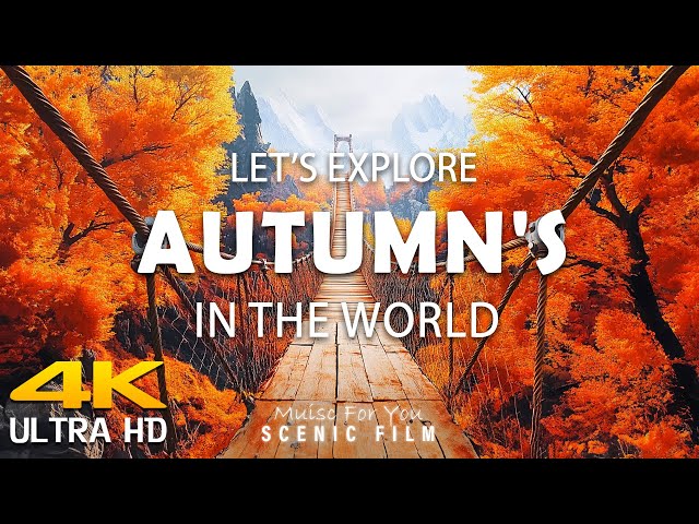 Autumn's Splendor: A Serene 4K Ultra HD Journey Through Nature's Breathtaking Fall Landscapes