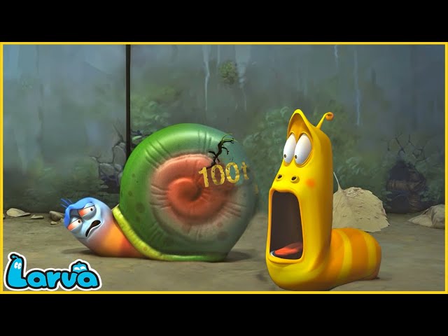 LARVA FULL EPISODE: LARVA'S SECRET OF A SNAIL | Videos For Kids | Larva Land