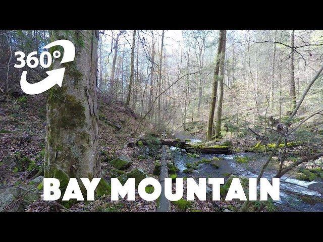 Bay Mountain 360 VR Run