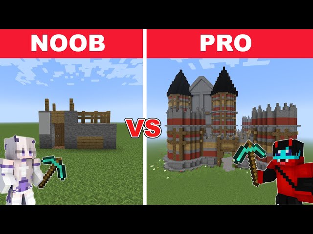 NOOB vs PRO: I Cheated in a Build Challenge in Minecraft