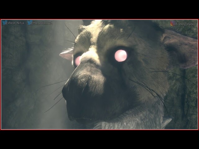 The Last Guardian [2] - Play Together