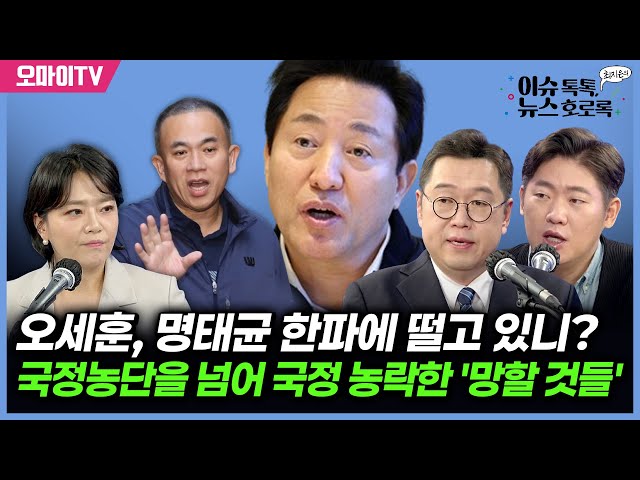 [최지은의 뉴스호로록] 오세훈, 명태균 한파에 떨고 있니?+국정농단을 넘어 국정 농락한 '망할 것들' (2024.11.24 오후)