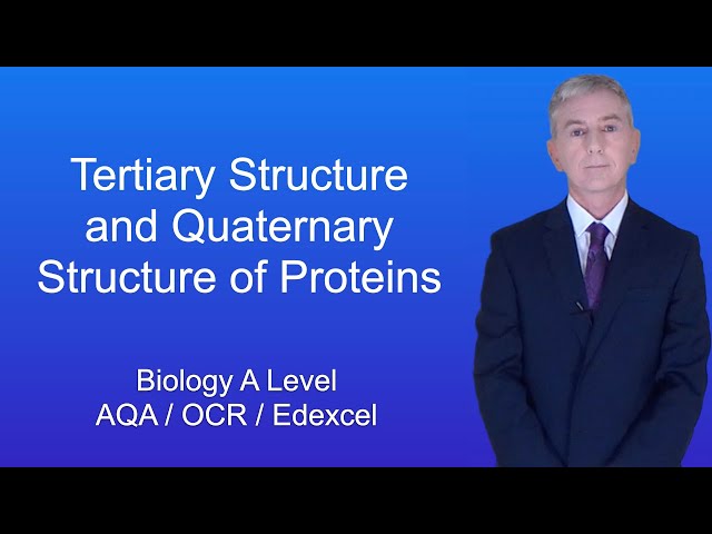 A Level Biology Revision "Tertiary Structure and Quaternary Structure of Proteins"