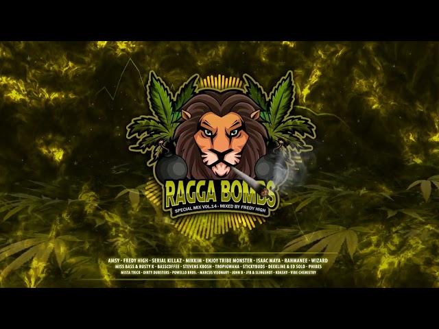 RAGGA BOMBS - Special Mix Vol.14 (Mixed By Fredy High)