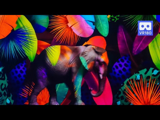 3D 180VR 4K Amazing Hidden Animals Lion, Elephant and Giraffe Digital Art Museum