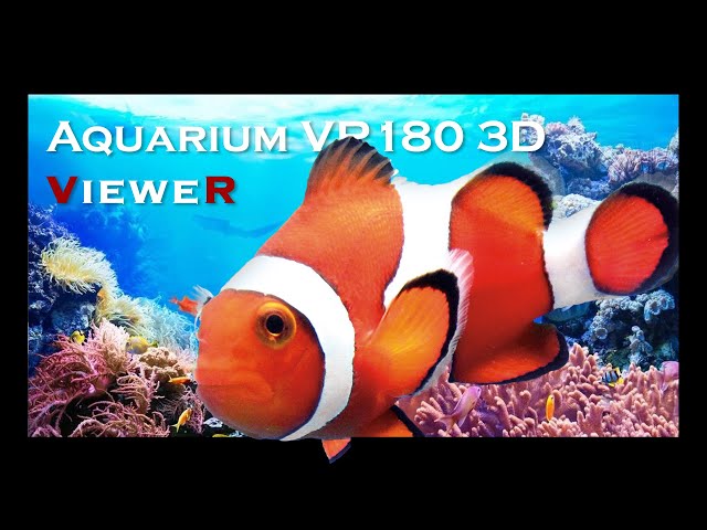 Clownfish in a Coral Reef, Sharks and more - Aquarium Scene 5