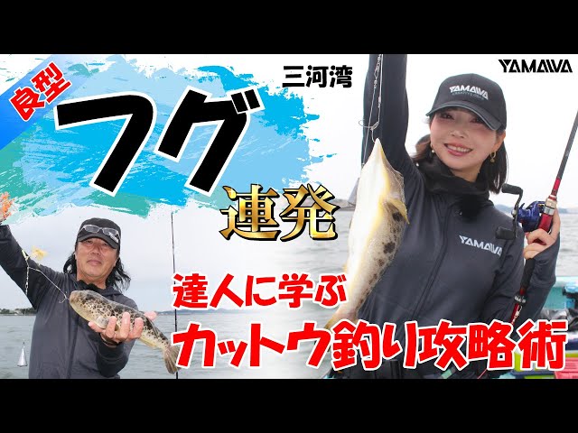 【フグカットウ釣り】三河湾で良型フグ連発！達人に学ぶカットウ釣り攻略術！