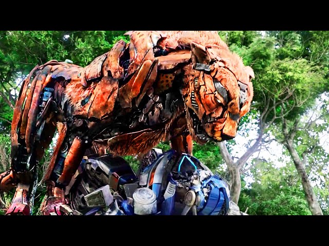 The Best Maximals from Transformers: Rise of the Beasts 🌀 4K