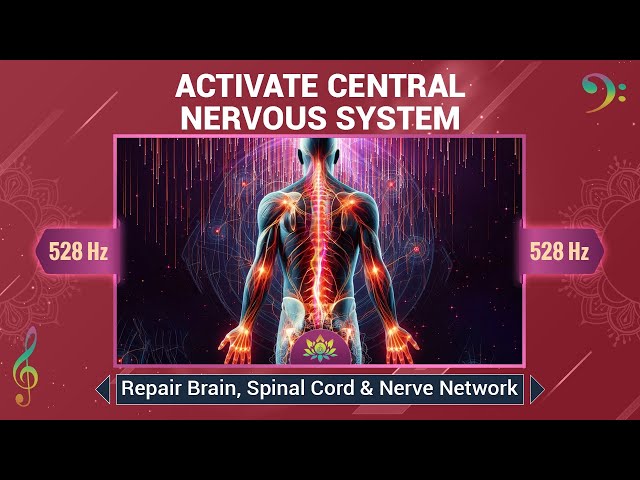 Activate Central Nervous System (CNS) - Repair Brain, Spinal Cord & Nerve Networks - 528 Hz