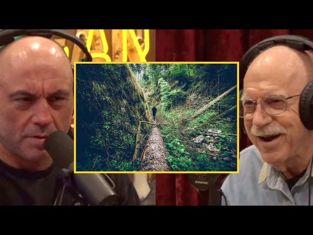 Joe Rogan: Bat Expert Talks About Being CAPTURED In The Wilderness!