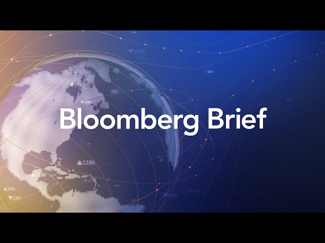 Bloomberg Brief 11/20/2024