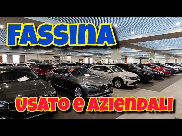 Fassina : auto usate e aziendali