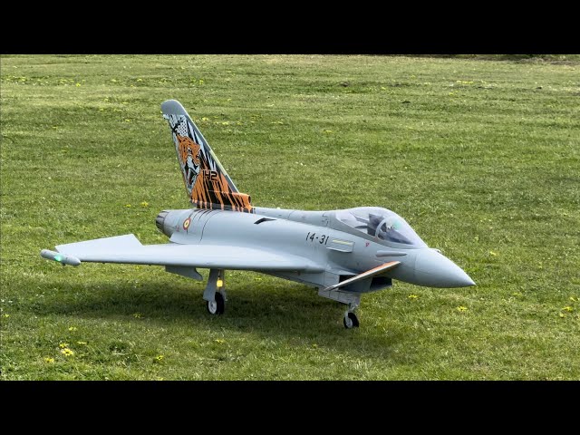 Freewing Eurofighter Typhoon 90mm RC EDF Jet    Extreme Wind