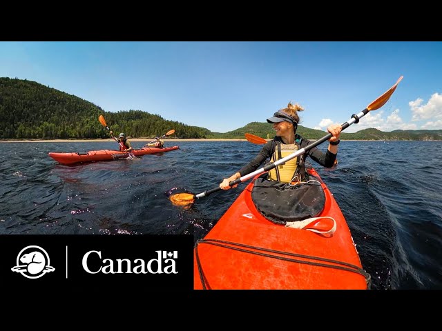 Kayaking on the Saguenay River in 360 | Parks Canada