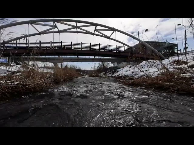 [8K VR180] 용인 전대천 - Yongin Jeondaecheon River