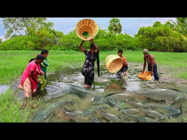 Amazing! Find and Catch Big fish | Unbelievable Fishing | Village Super Cooking