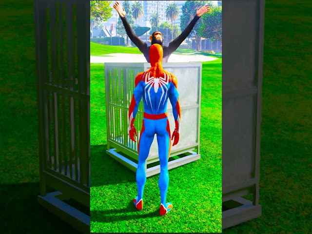 GTA 5 SPIDER MAN AND HULK SAVE CHIMPANZEE #ndafailyergaming #shorts #trending #viral  #gtaonline