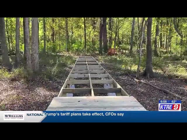 SFA students, staff work to restore 20-year-old SFA Gardens boardwalk