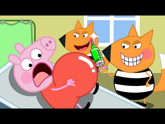 Mommy Look!! Peppa Pig Has A Big Belly - Peppa Pig Funny Animation