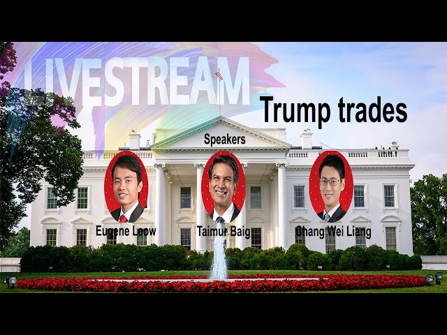 Macro Insights Livestream November: Trump trades