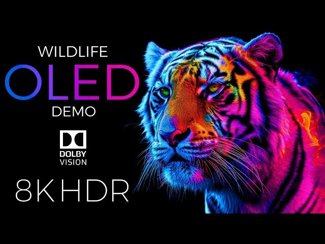 OLED DEMO - Beautiful Animal in 8K HDR | Dolby Vision™