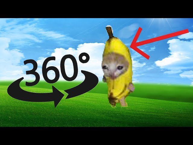 Banana Cat Finding Challenge But It's 360 degree video