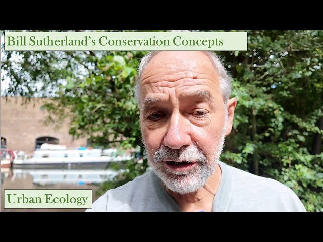 Urban ecology: community conservation