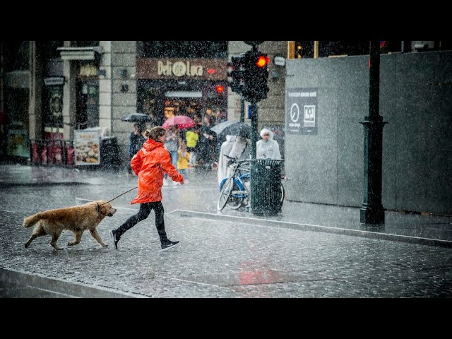 The Rain That Never Ends: Exploring Trondheim's Non-Stop Rainfall