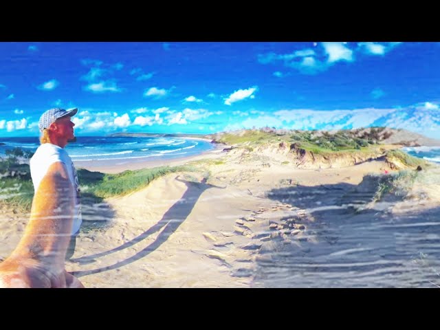 360 VR 12 String Guitar Surf Adventure