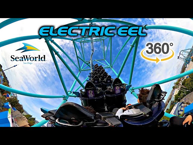 VR 360 Electric Eel Roller Coaster On Ride Back Seat POV SeaWorld San Diego 2024 02 03